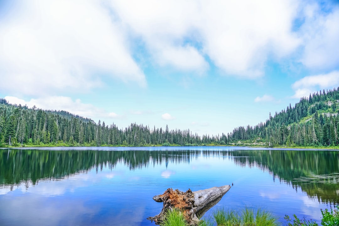 Photo Beautiful landscape