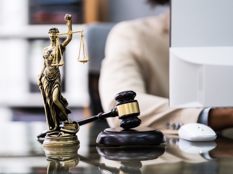 Ce iubesc avocații la o aplicație avocați modernă?