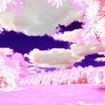 Photo dream interpretation