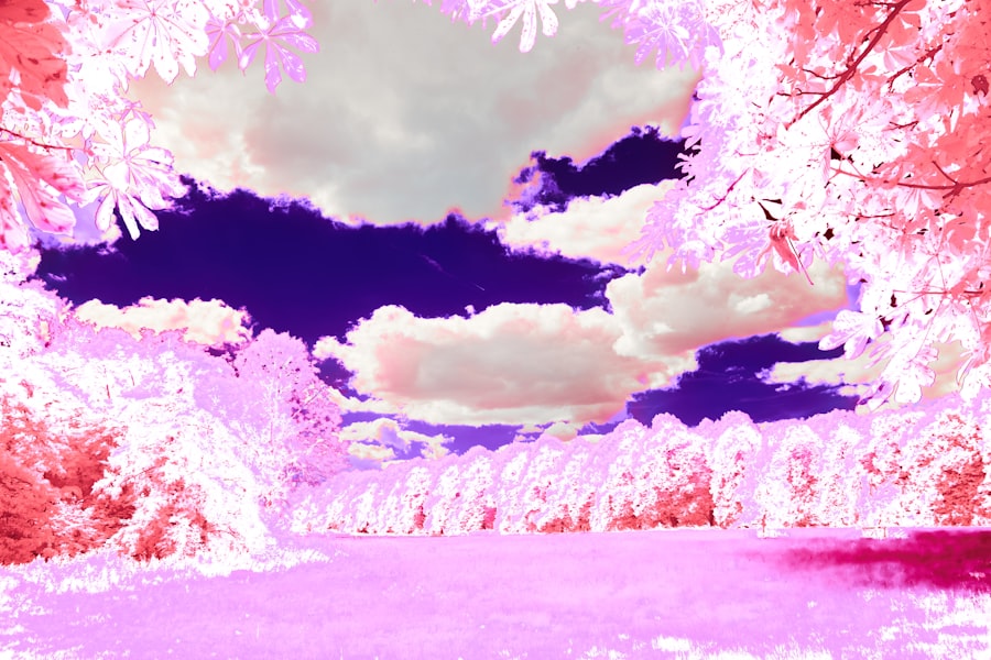 Photo dream interpretation