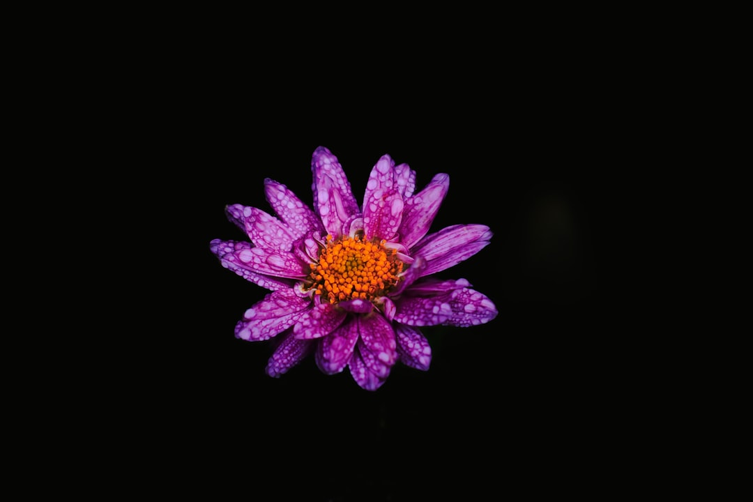 Photo love and passion