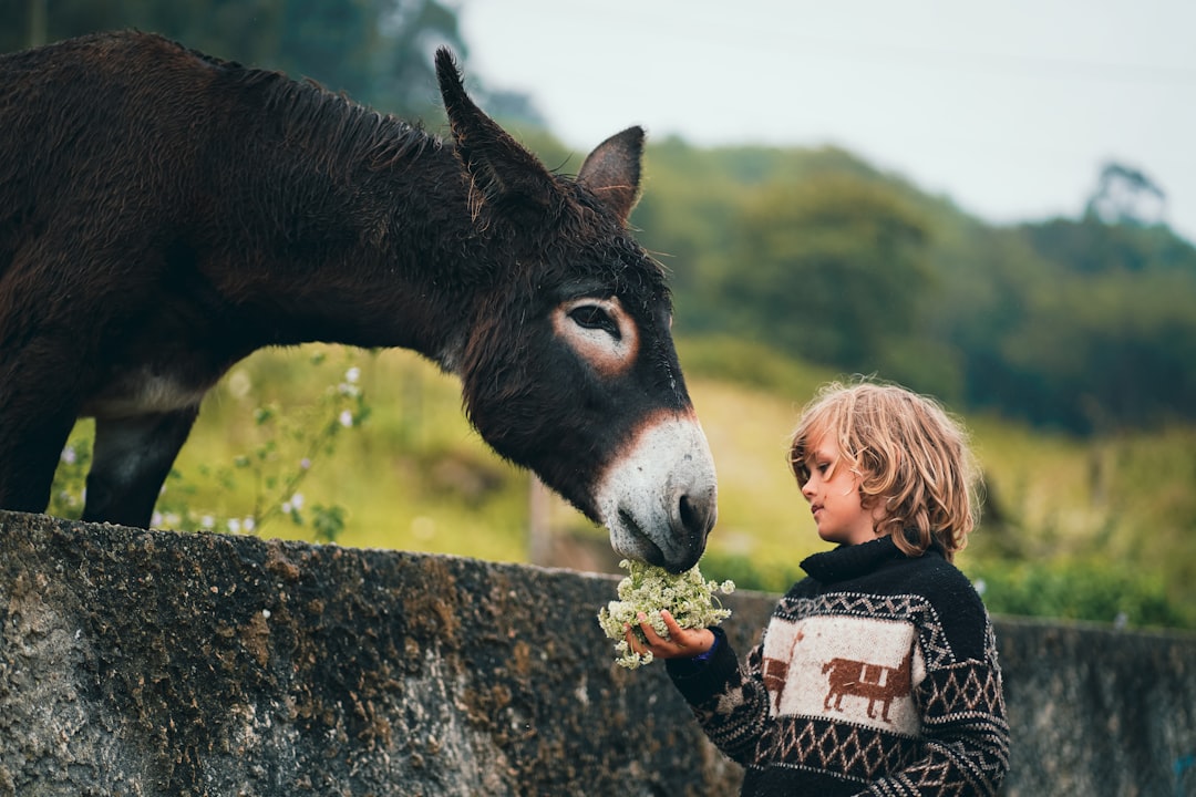 Photo kindness
