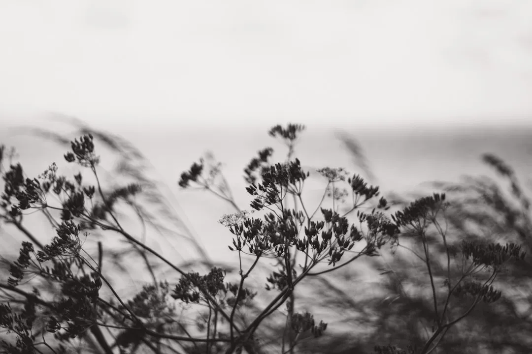 Photo silence