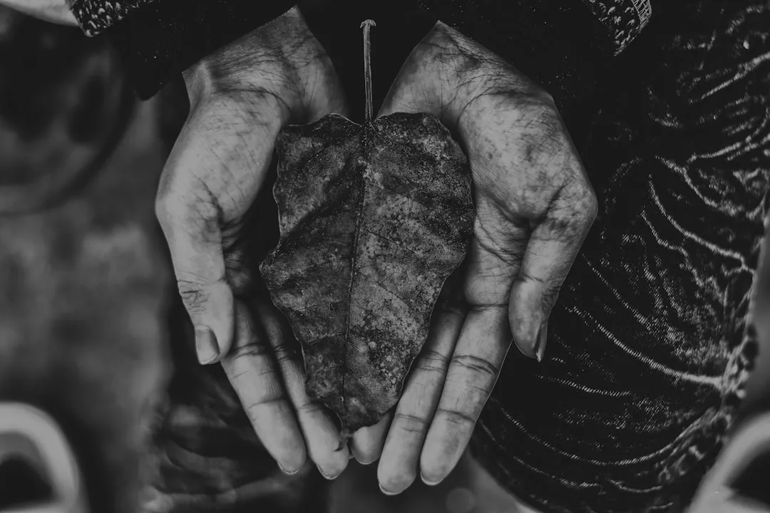 Photo generosity