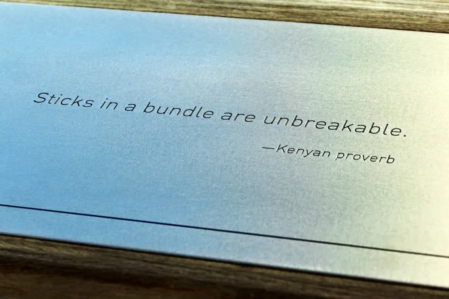 Photo proverbs