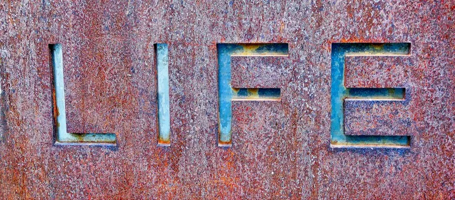 life quotes research insights