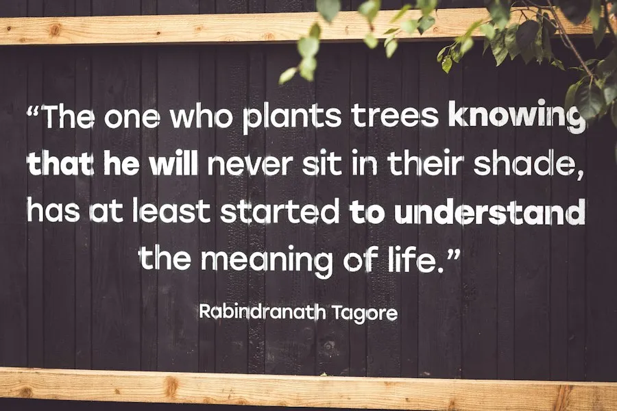 Photo motivational quotes impact research