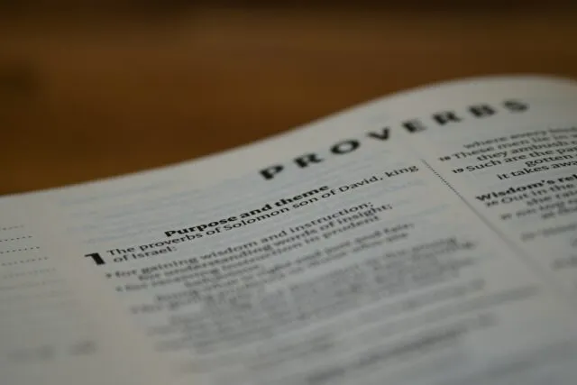 Photo common mistakes proverbs wisdom